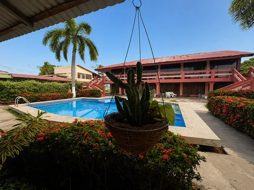 Cactus del jardín con la piscina y el hotel al fondo